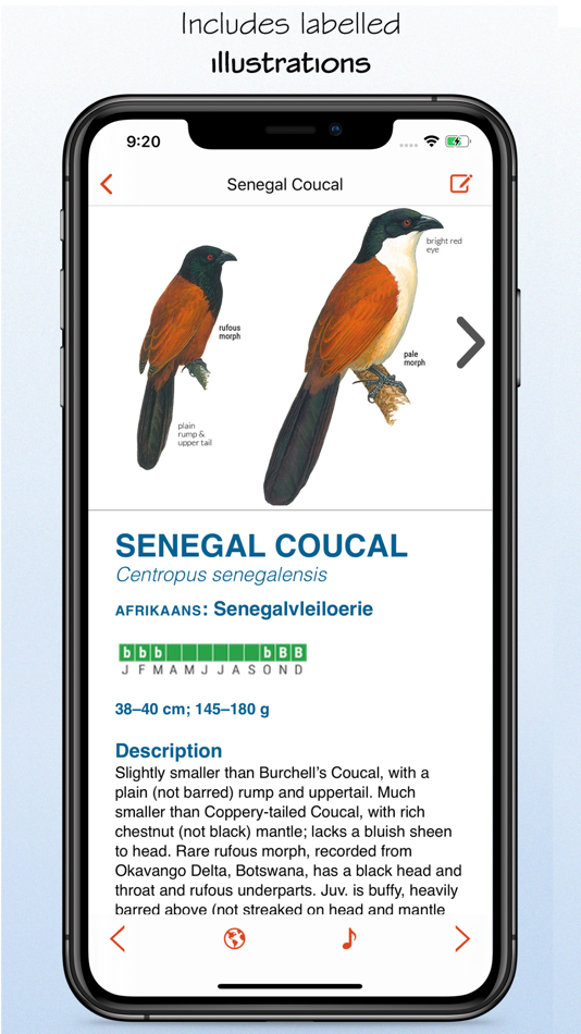 #5. Sasol eBirds South Africa LITE (iOS) By: mydigitalearth.com