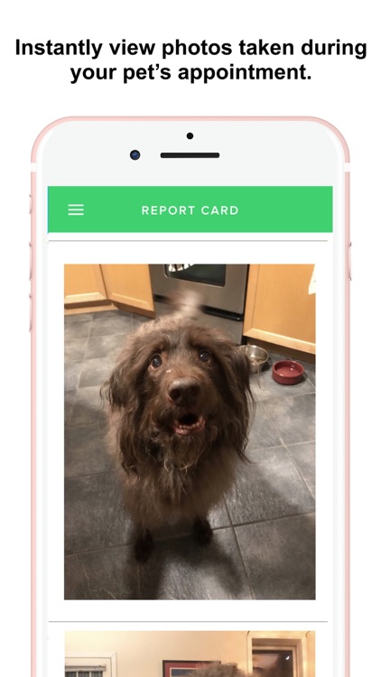 Waggy Walkys screenshot-4