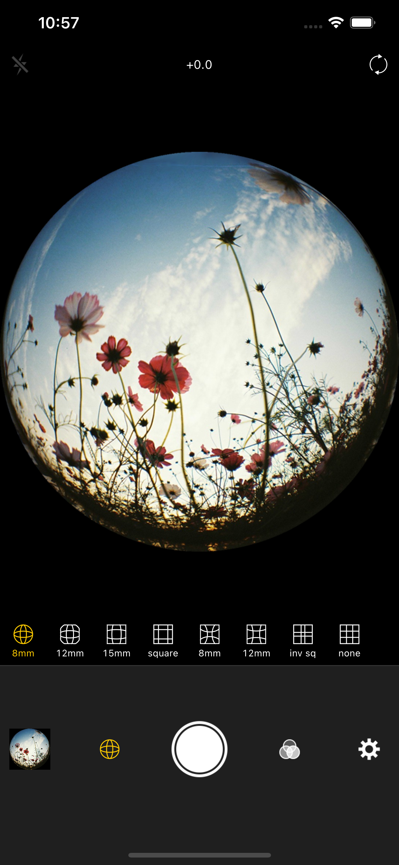 Fisheye Lens - Lomo Camera