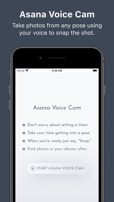 Asana Voice Cam Screenshot