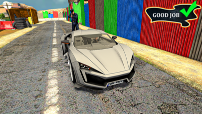 Border Cop 3D: Police Games Screenshot
