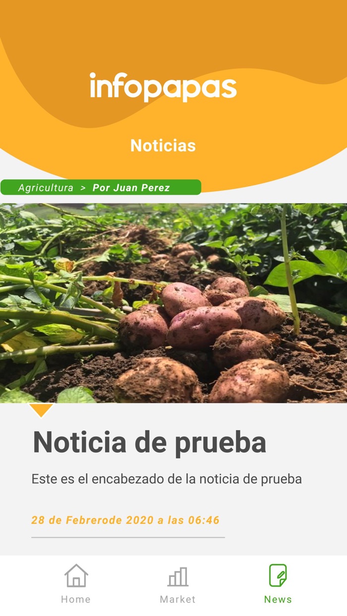 Info Papas