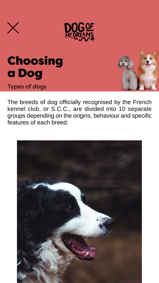 #5. Dog of my dreams (iOS) By: Valiprod