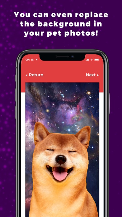 Digital Santa Claus Screenshot