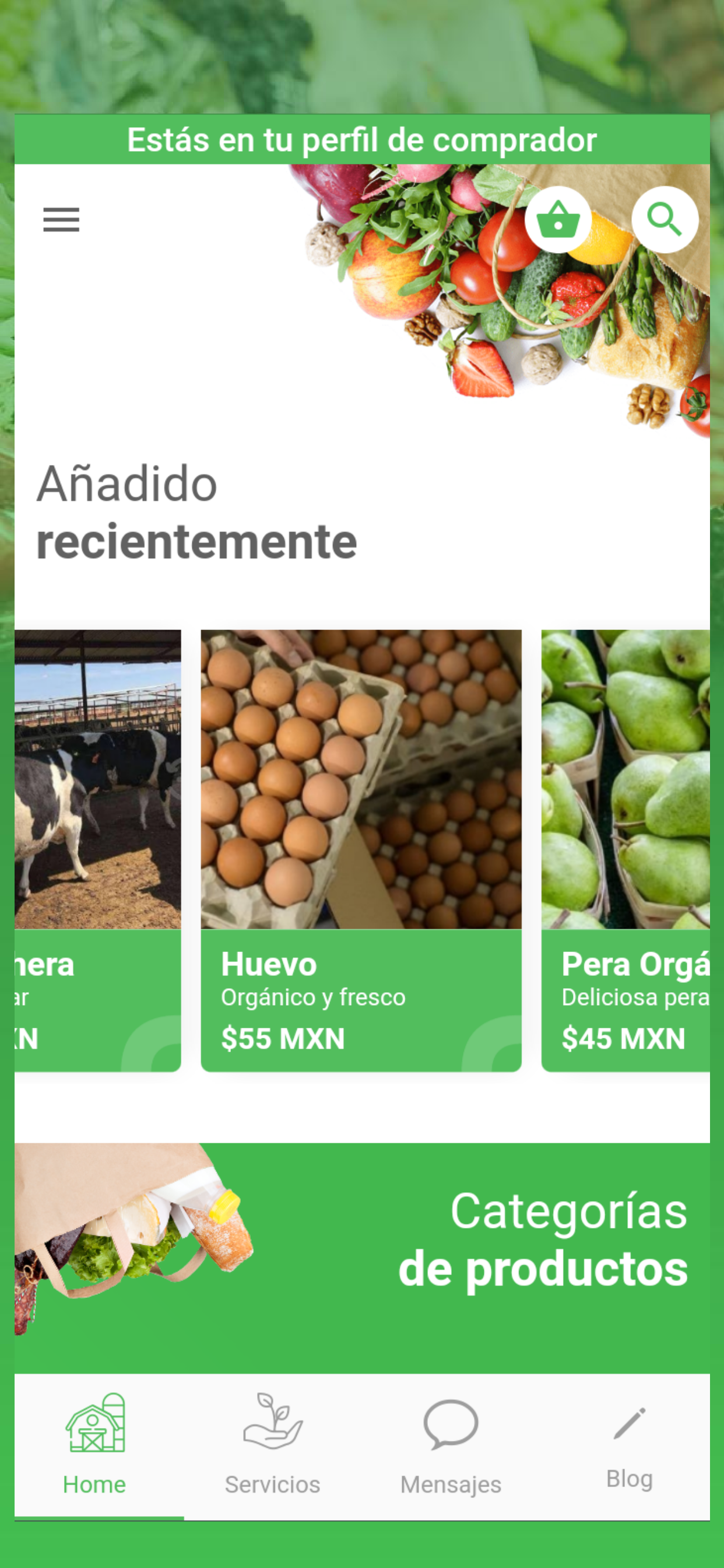 Merkado Verde