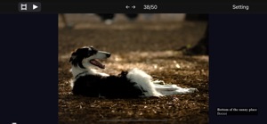 Moment - Time of dogs. screenshot #5 for iPhone