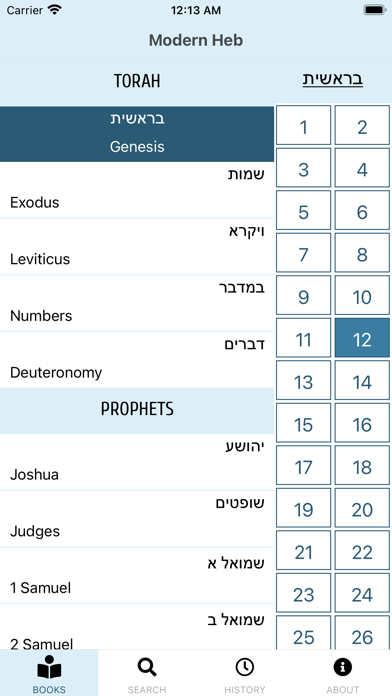 Modern Hebrew Bible Screenshot