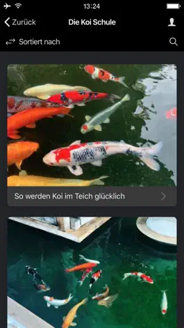 Game screenshot Der Koihof - LIVE hack