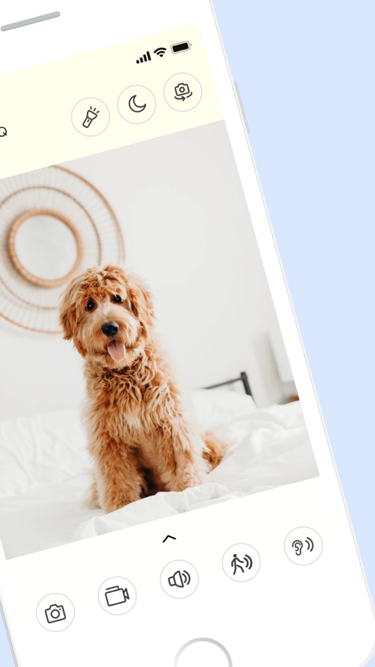 #2. Dog monitor Doggy (iOS) 由: Have a nice day