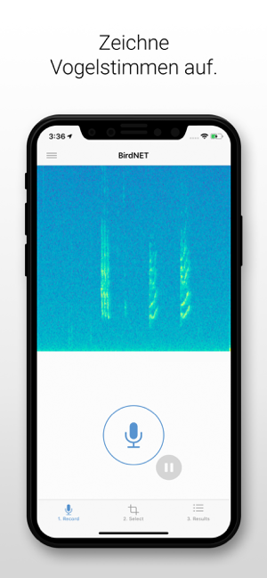 ‎BirdNET Screenshot