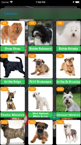 Game screenshot Dog Chat - Dogs Chats hack