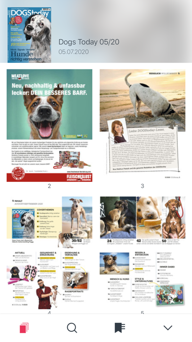 DOGStoday Magazin Screenshot