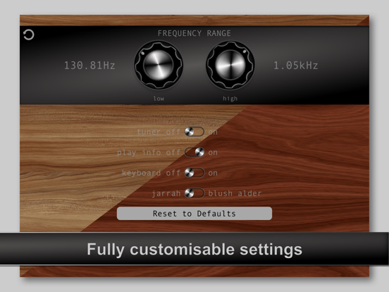 Theremin Touch iPad app afbeelding 3