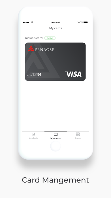 Penrose Personal Screenshot