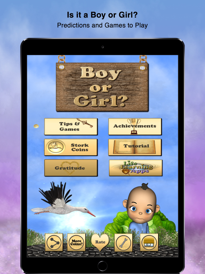 Boy or Girl Prediction Games