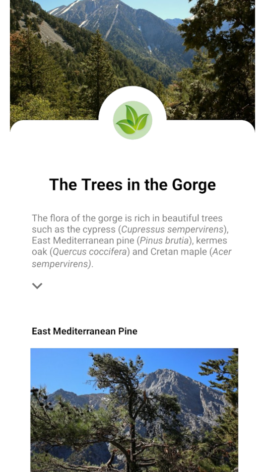 #5. Ovgoro (iOS) От: OIKOM