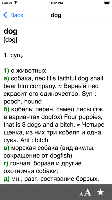 Screenshot #1 pour Big English-Russian dictionary
