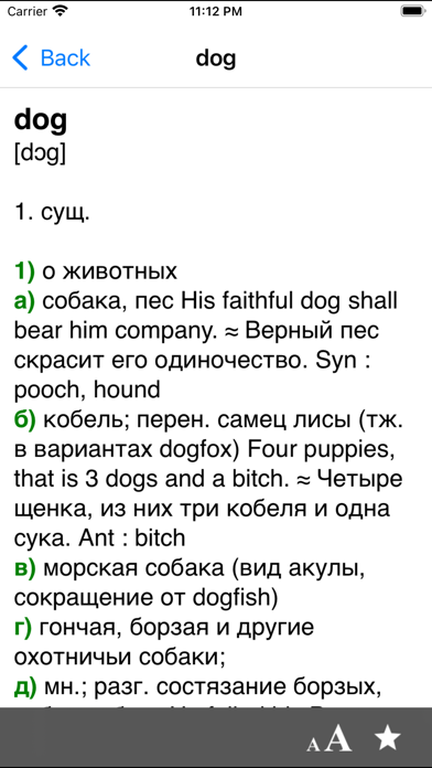 Big English-Russian dictionary Screenshot