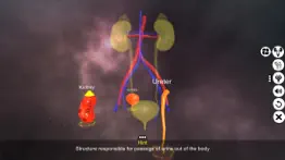 urinary system physiology iphone screenshot 3