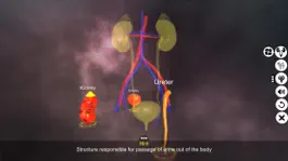 Game screenshot Urinary System Physiology hack