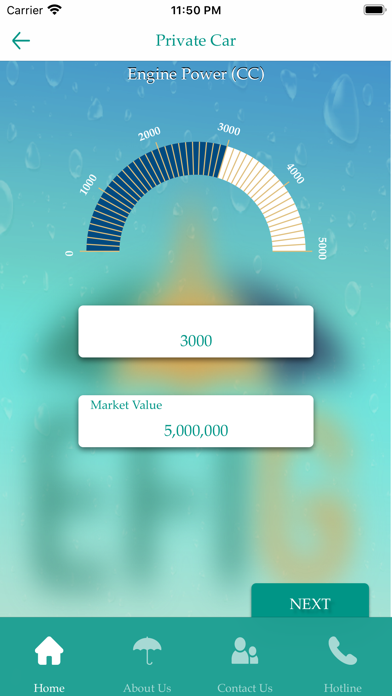 EFI General Insurance Screenshot