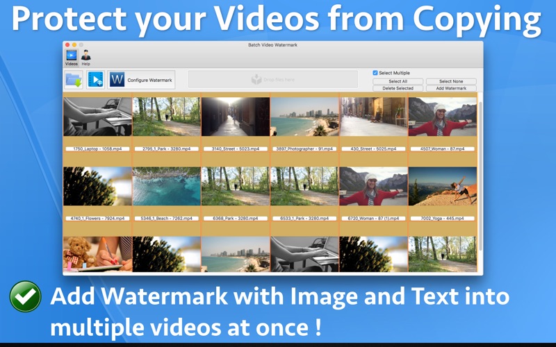 Batch Video Watermark
