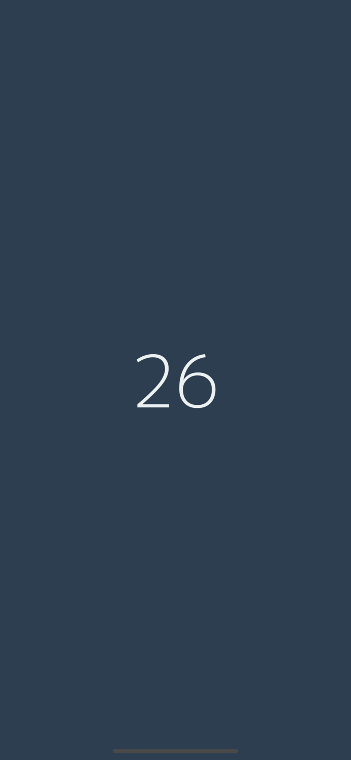 Flash Arithmetic Custom