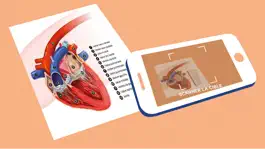 Game screenshot Cardiopocket 3D mod apk