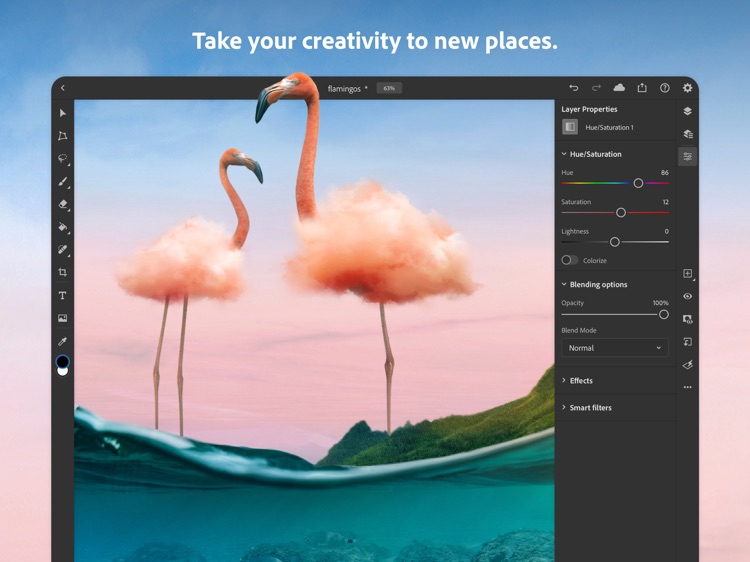 Adobe Photoshop screenshot-9