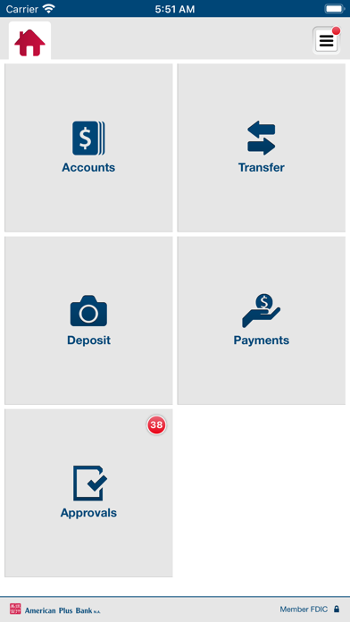 American Plus Bank Business Screenshot