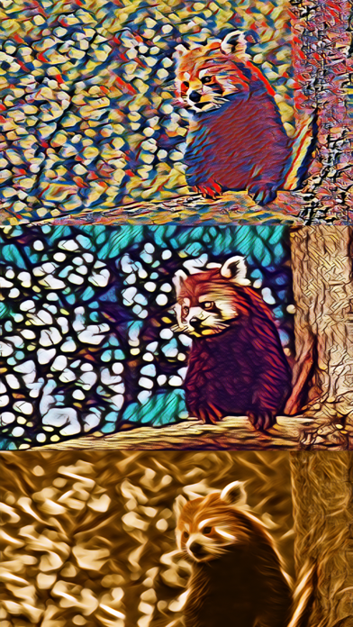 Photo to Infinity Screenshot