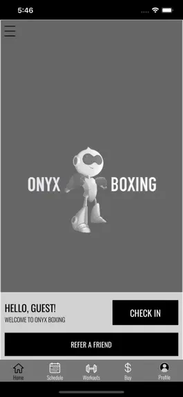 Game screenshot ONYX BOXING apk