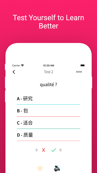 Practice Chinese French Words screenshot 4