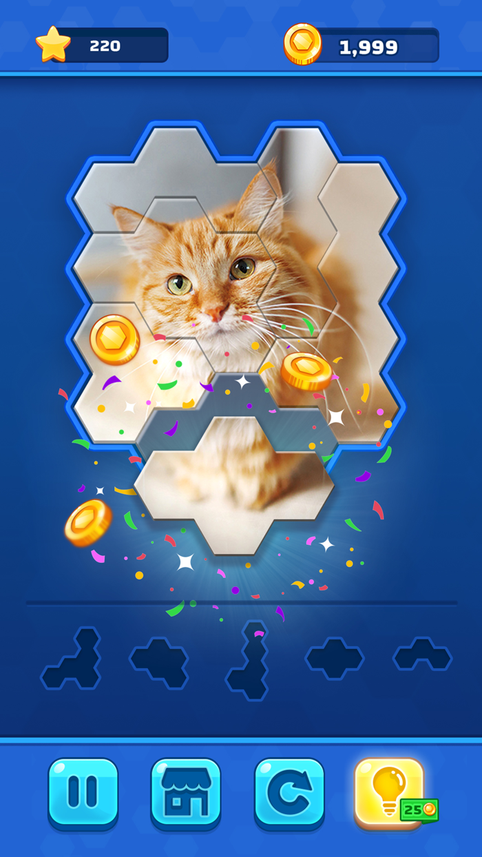 Hexa Jigsaw Challenge