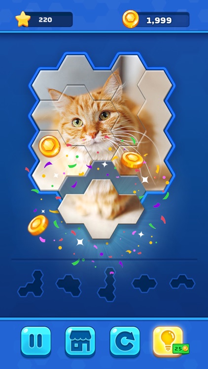 Hexa Jigsaw Challenge