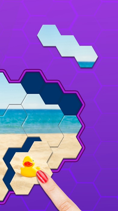 Hexa Jigsaw Puzzle ® screenshot1