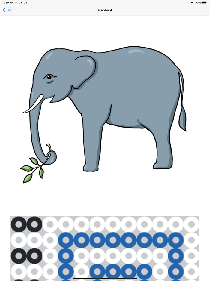 AR Beads - Wild animals