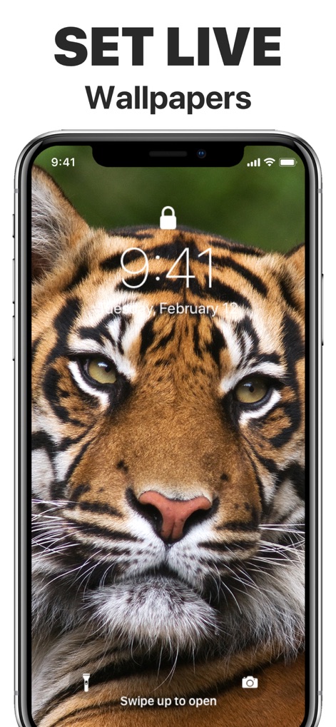 App Icons – Widget & Wallpaper - Users can set captivating live wallpapers, exemplified by a detailed tiger portrait, directly on their lock screen for a dynamic visual experience.