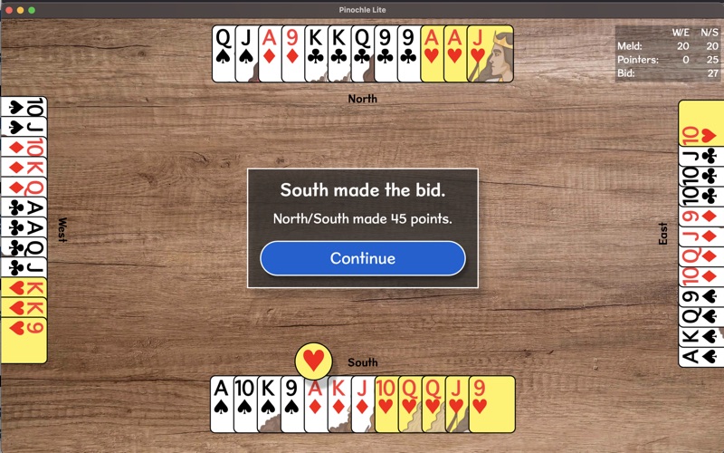 pinochle lite problems & solutions and troubleshooting guide - 4