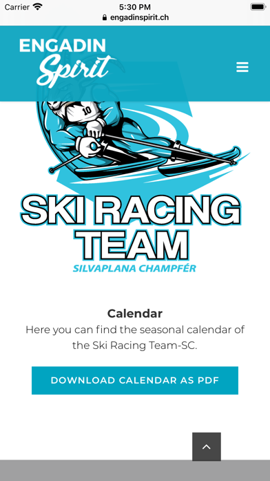 Ski Racing Team Screenshot