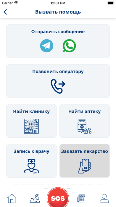 Gross Insurance Screenshot
