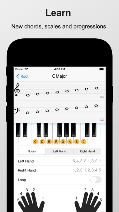 Piano Chords and Scales Screenshot