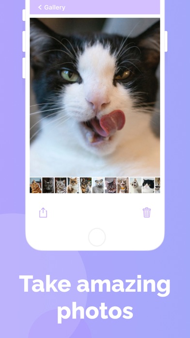 Cat's Cam: selfie of your pet Screenshot