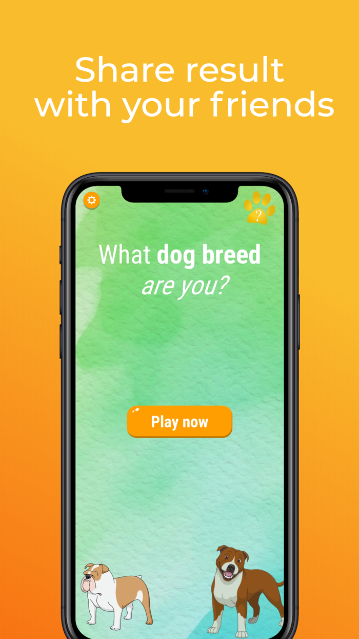 What dog breed are you Test