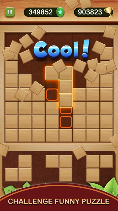 Wood Block Puzzle Legend 2024 Screenshot