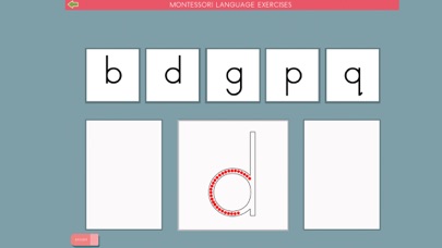Montessori Letter Reversals Screenshot