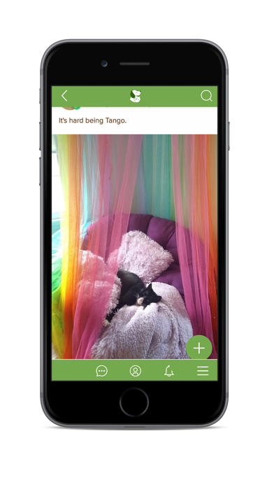 Social Petwork Screenshot