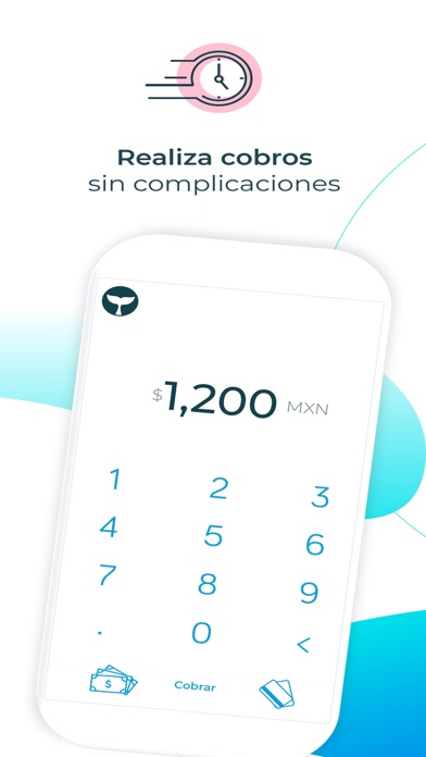Beluga Pay Screenshot