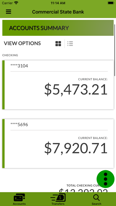 CSB Palmer screenshot 2