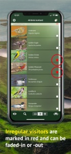 All Birds Scotland Photo Guide screenshot #6 for iPhone